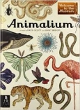 Animalium Muzeum Zwierzt    tekst: Jenny Broom